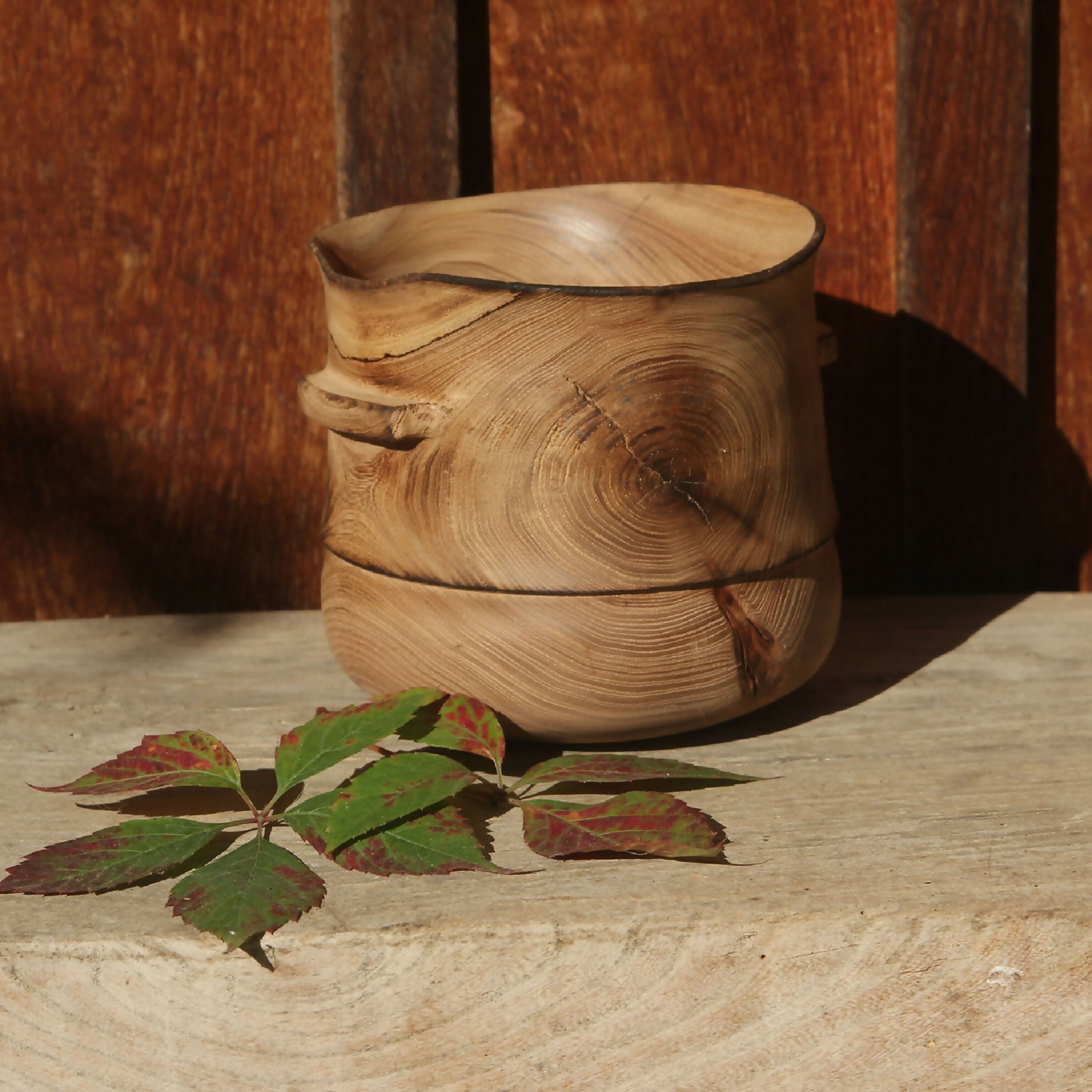 Pot en orme - Collection bois vert | EMPREINTES Paris