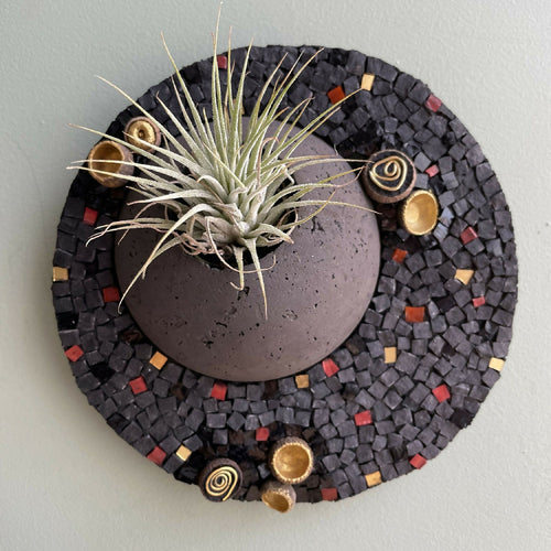 tableau_vegetal_mosaique_noir_dore_tillandsia_cupules_de_glands_musea_mosaique copie | EMPREINTES Paris - EMPREINTES Paris