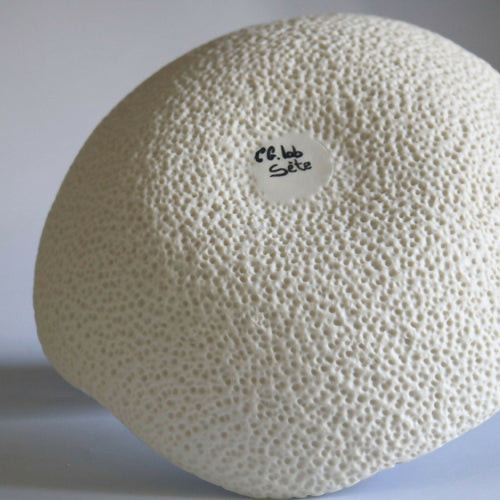 Assiette en porcelaine | EMPREINTES Paris - EMPREINTES Paris