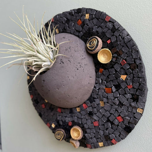 tableau_vegetal_mosaique_noir_dore_tillandsia_cupules_de_glands_musea_mosaique copie | EMPREINTES Paris - EMPREINTES Paris