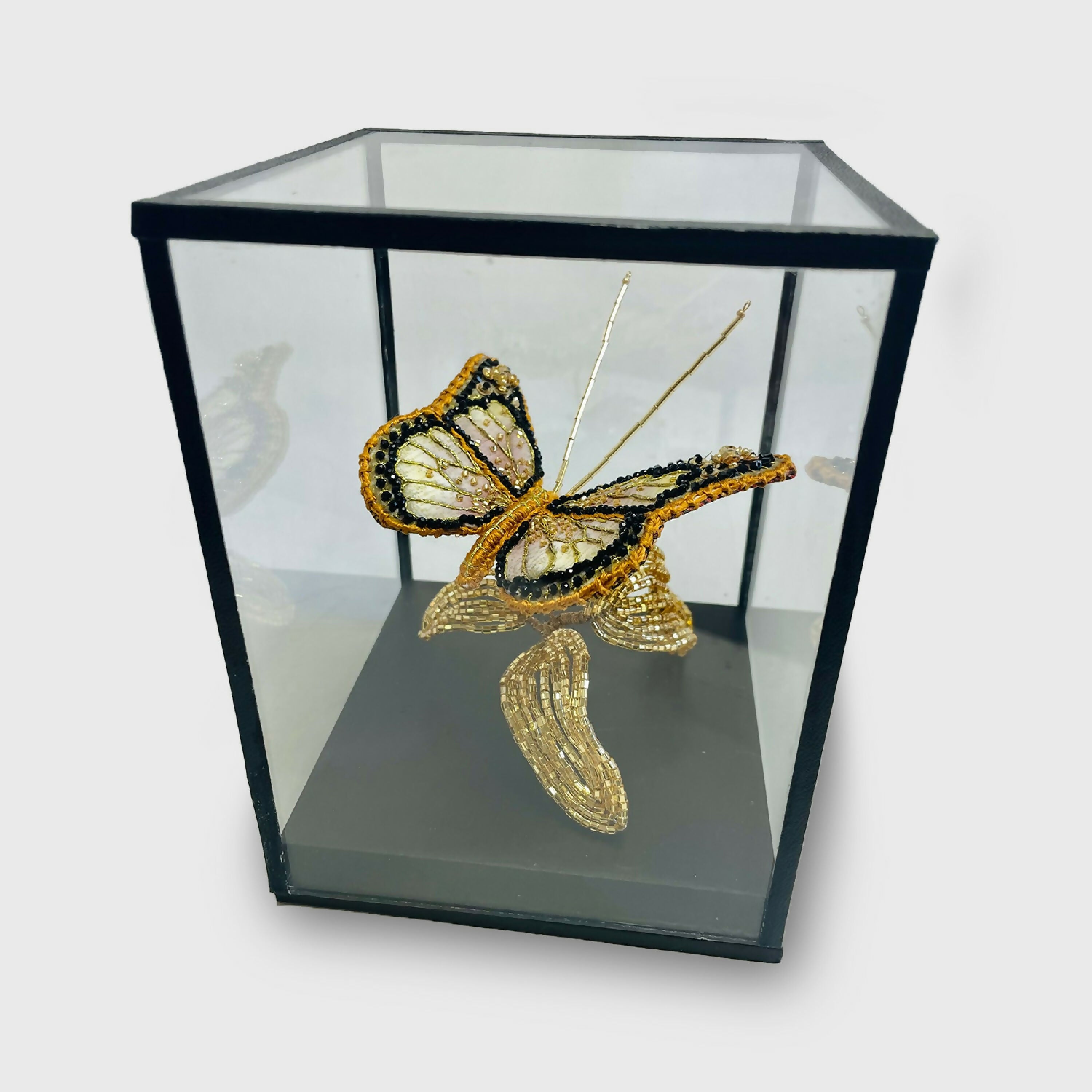 papillon_morpho_or_et_noir_agathe_you copie | EMPREINTES Paris