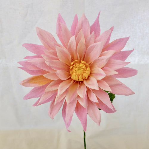 ARVhb7HuTQ | EMPREINTES Paris - EMPREINTES Paris