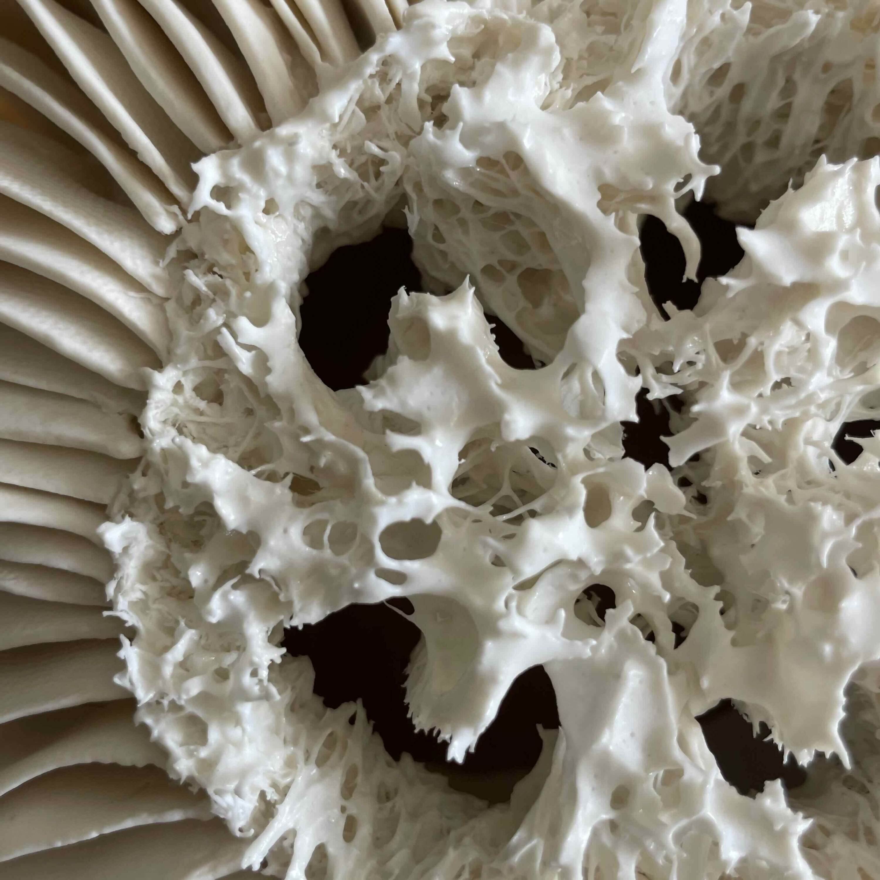 sculpture_abysse_lumineuse_20_anne_sophie_boulogne copie | EMPREINTES Paris