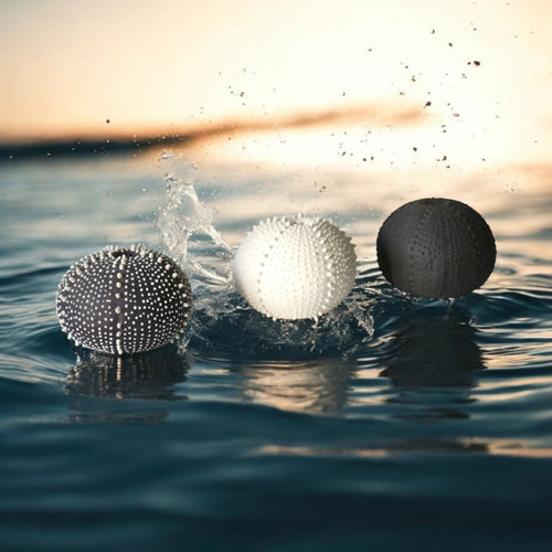 saliere_oursin_noire_et_blanche_en_gres_cglabsete copie | EMPREINTES Paris - EMPREINTES Paris