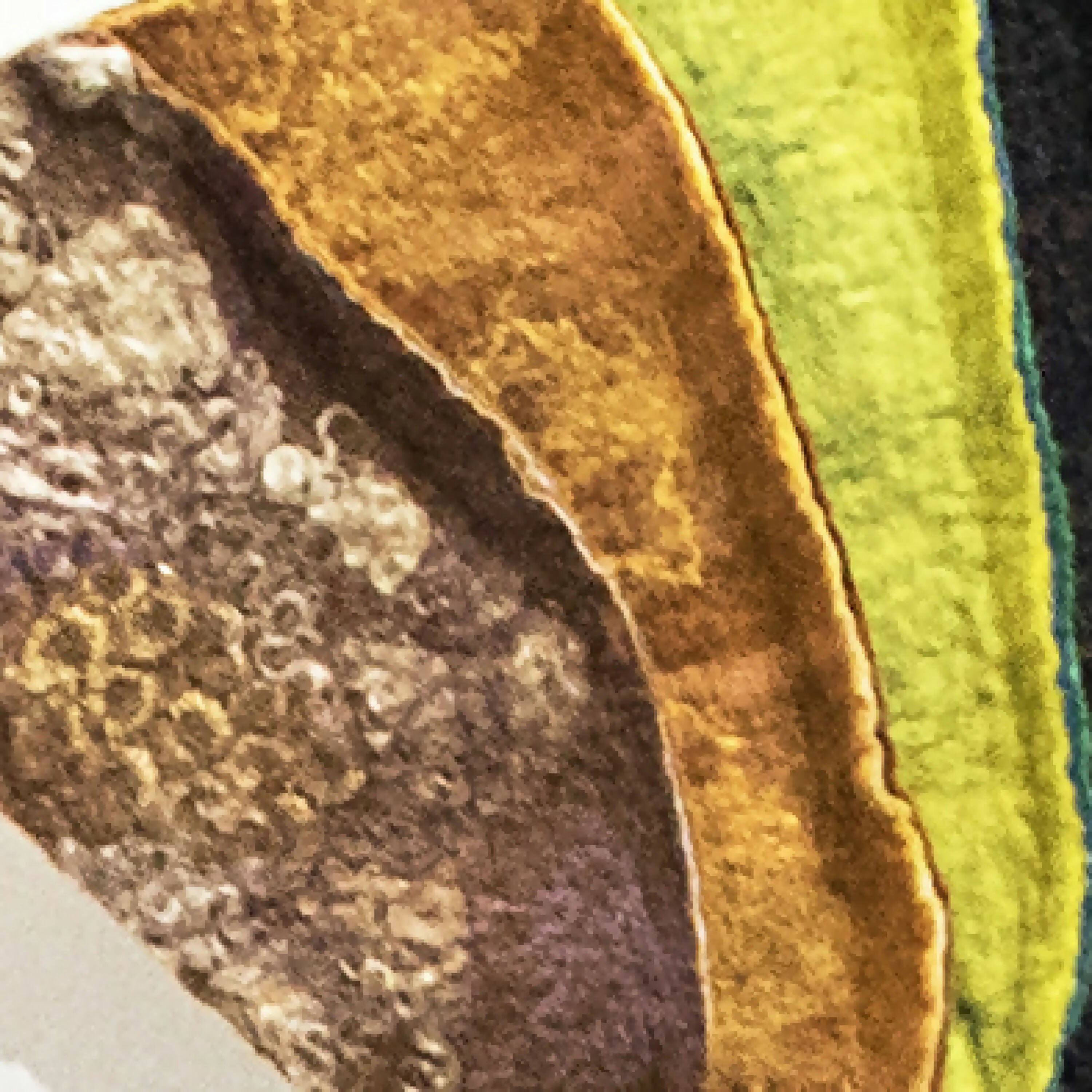 installation_geological_felt_iii_accords_feutres copie | EMPREINTES Paris