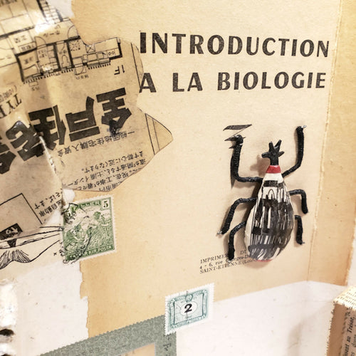 Sculpture papier Petit cabinet de curiosité | EMPREINTES Paris - EMPREINTES Paris