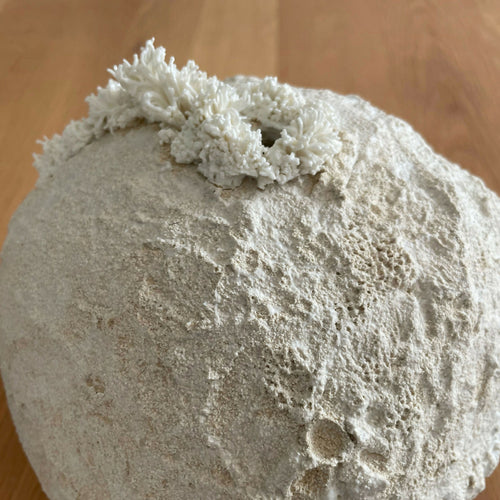 Sculpture Palingensia | EMPREINTES Paris - EMPREINTES Paris