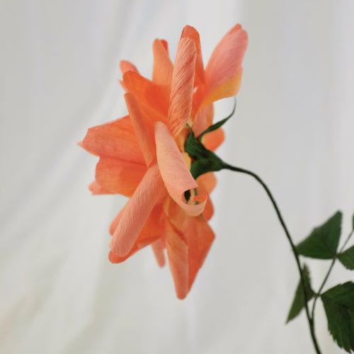 Rose en papier (couleur rose orangé) | EMPREINTES Paris - EMPREINTES Paris