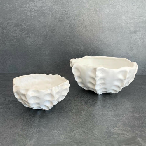 coupe_octopus_anne_sophie_boulogne copie | EMPREINTES Paris - EMPREINTES Paris