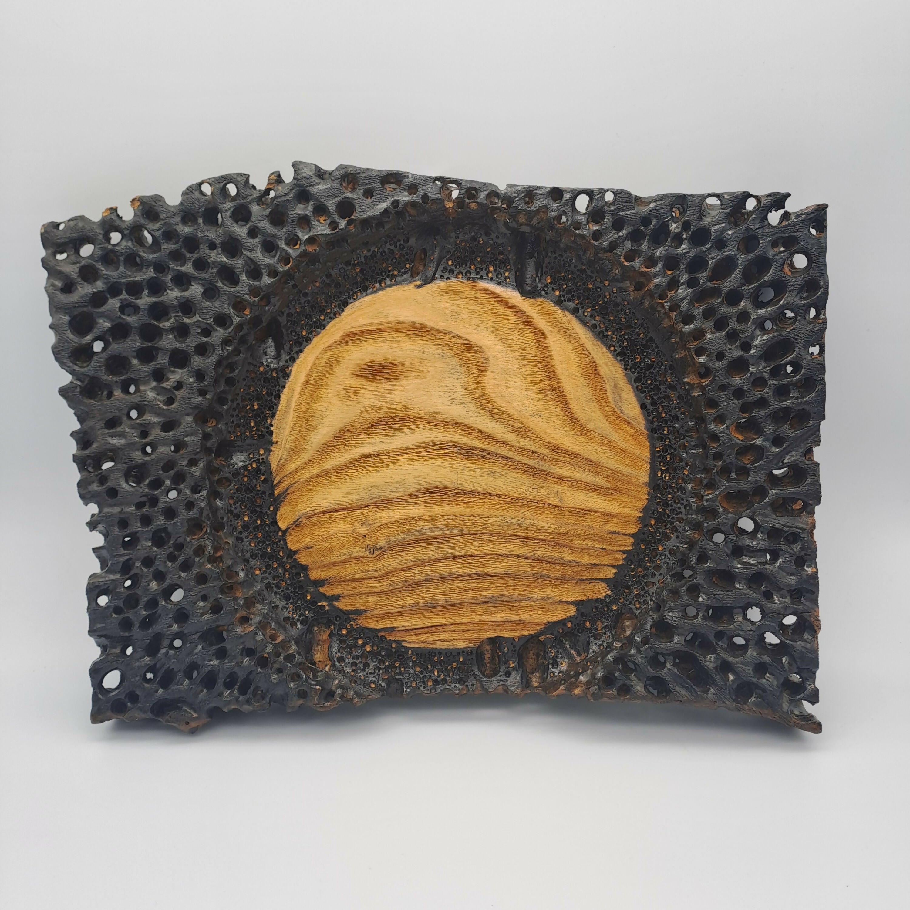 Sculpture murale De la nature à la nature | EMPREINTES Paris