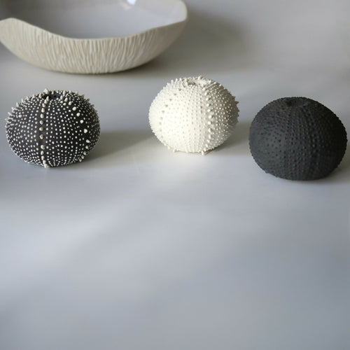 saliere_porcelaine_noire_oursin_cglabsete copie | EMPREINTES Paris - EMPREINTES Paris