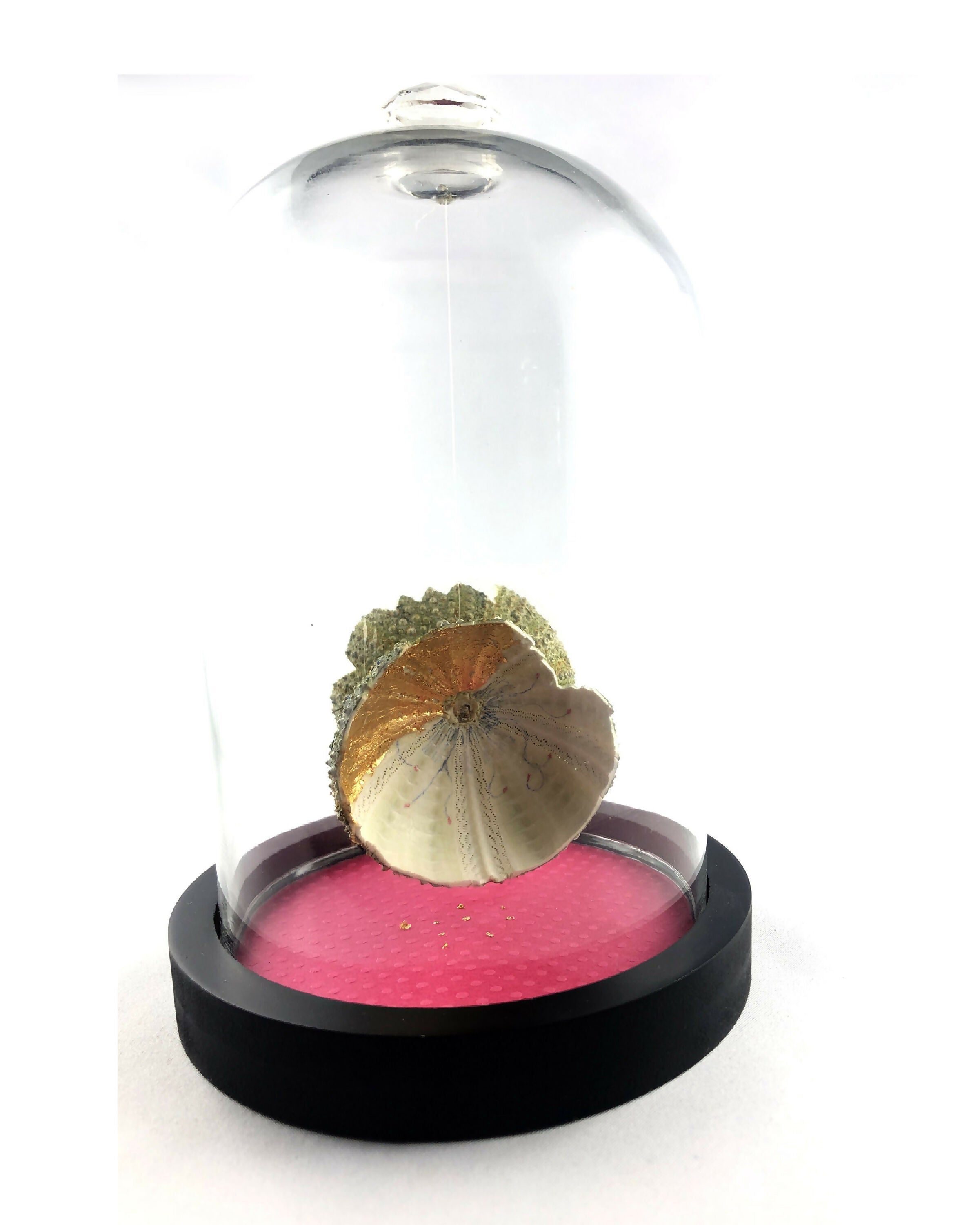 Composition Pavillons | EMPREINTES Paris