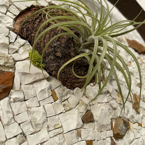 tableau_vegetal_mosaique_musea_mosaique copie | EMPREINTES Paris - EMPREINTES Paris