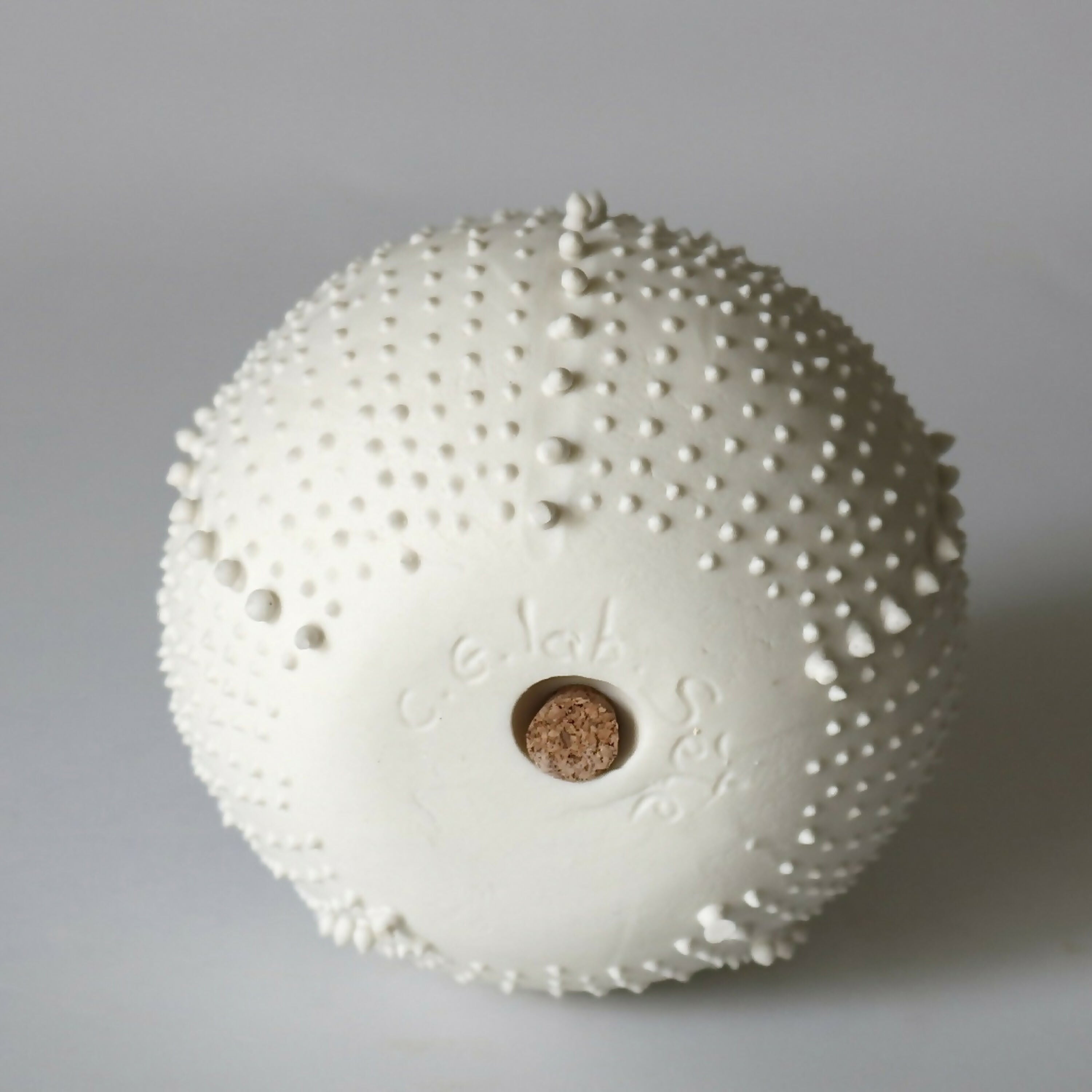 saliere_porcelaine_blanche_oursin_cglabsete copie | EMPREINTES Paris