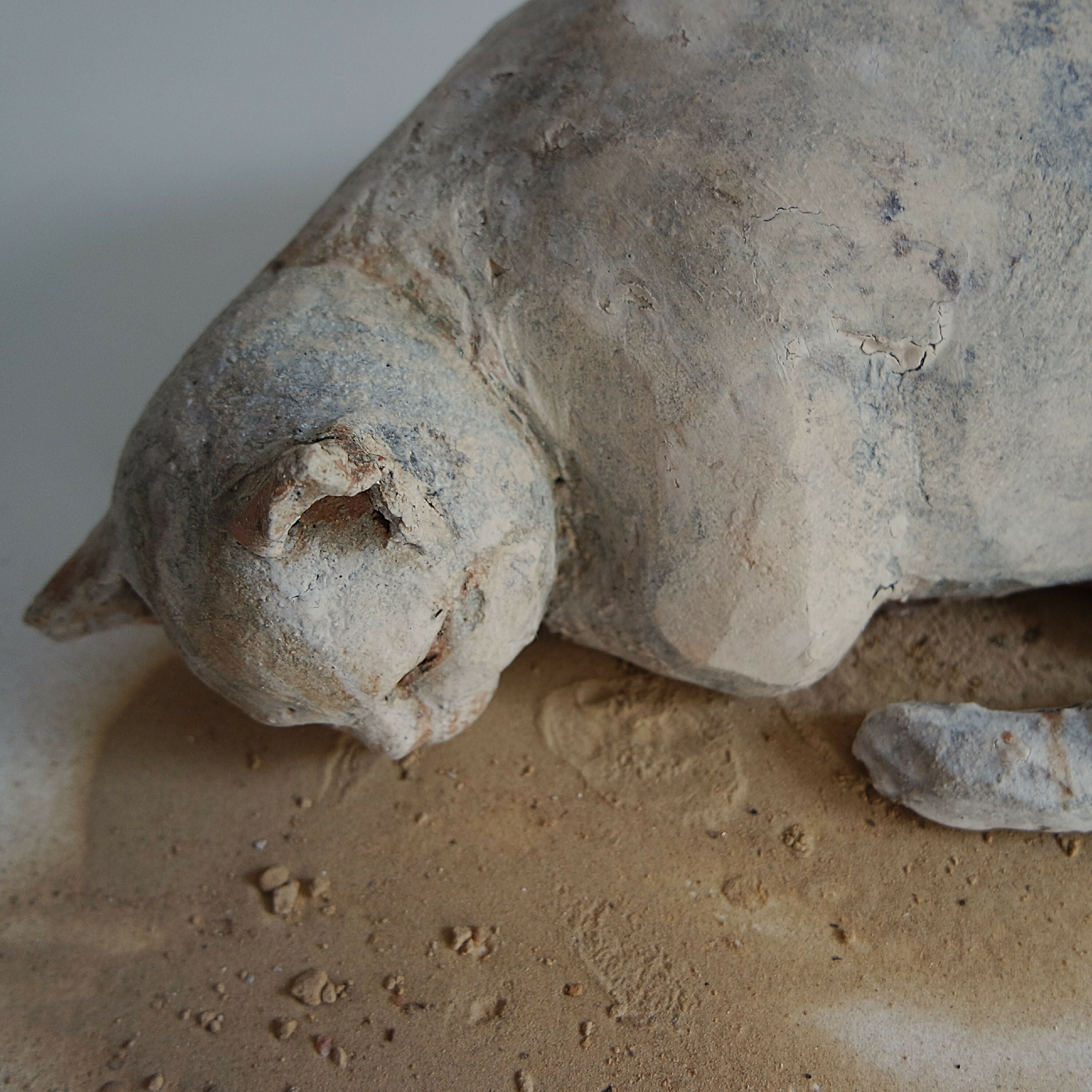 Sculpture Chat endormi | EMPREINTES Paris