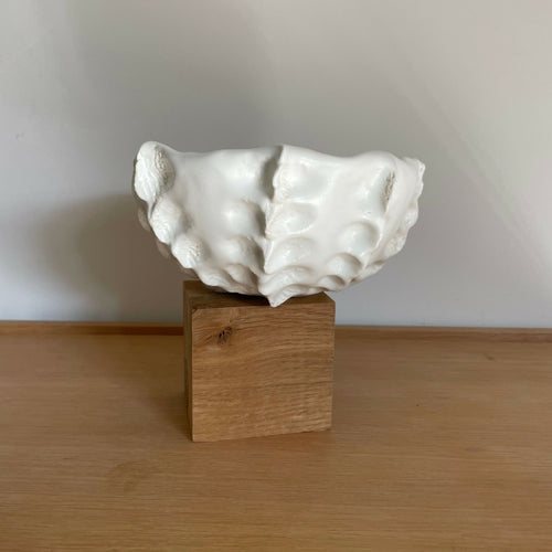 coupe_octopus_anne_sophie_boulogne copie | EMPREINTES Paris - EMPREINTES Paris