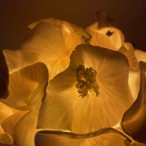 Lampe Sculpture Anthéa 4 | EMPREINTES Paris - EMPREINTES Paris