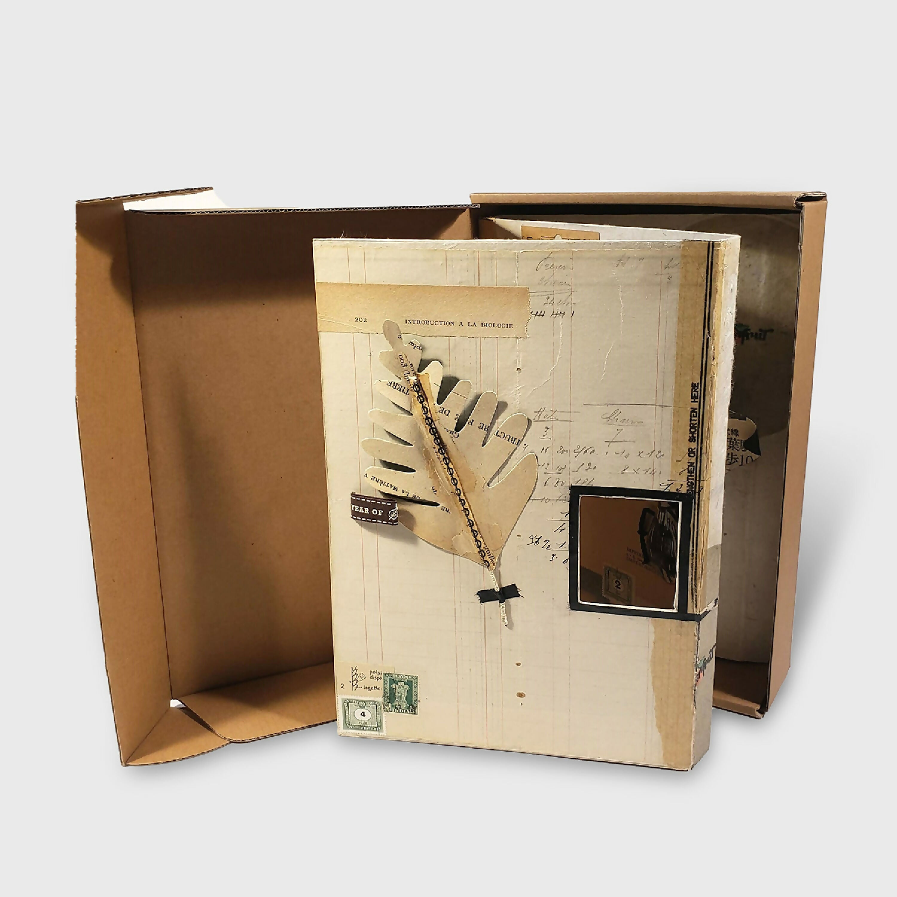 Sculpture papier Petit cabinet de curiosité | EMPREINTES Paris