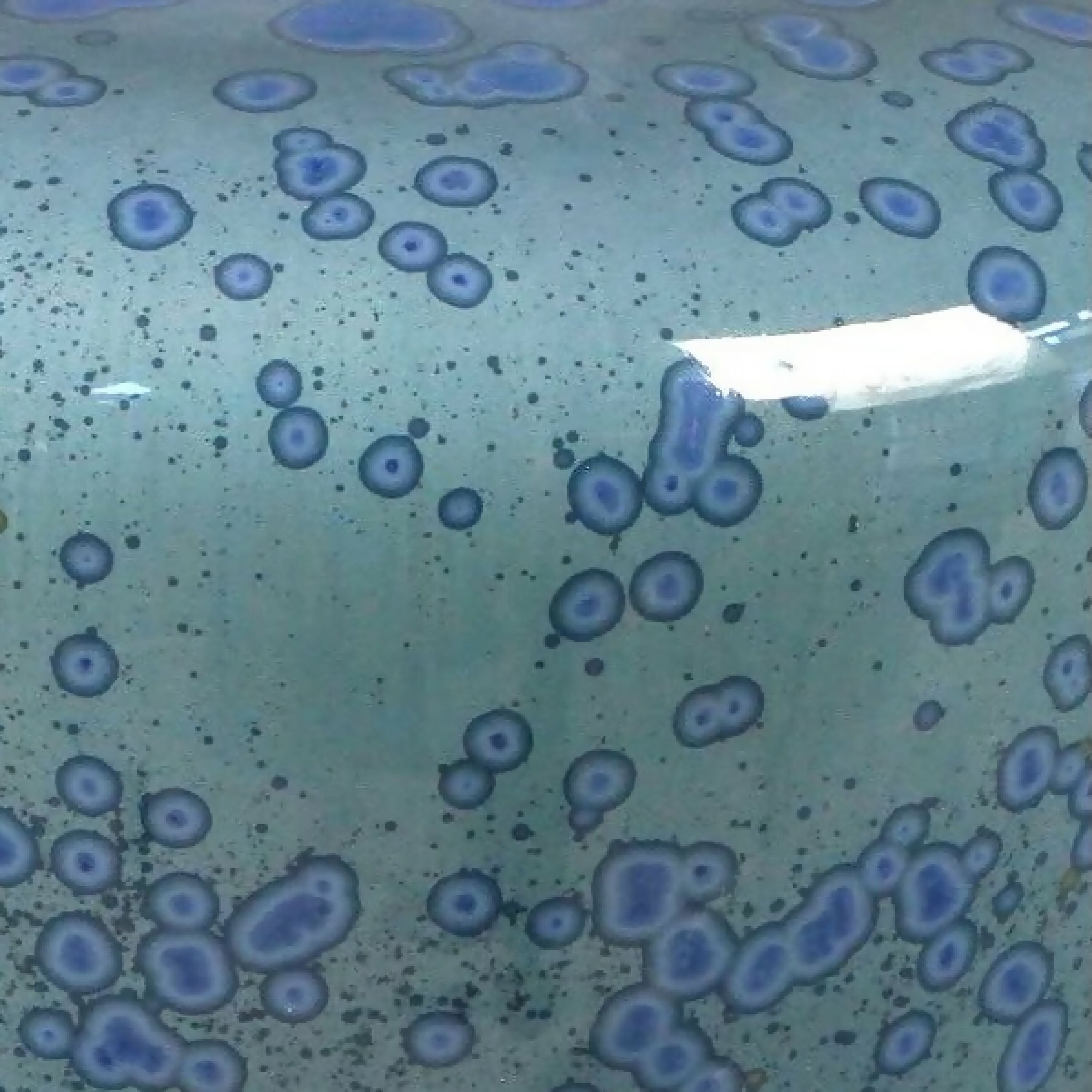 vase_27_ceramiques_atelier_ma copie | EMPREINTES Paris