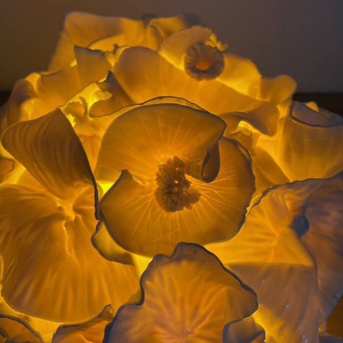 8nJSpWcQqO | EMPREINTES Paris - EMPREINTES Paris