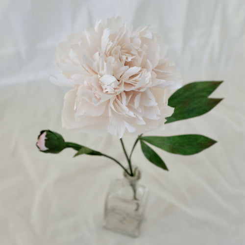 Pivoine blanche en papier | EMPREINTES Paris - EMPREINTES Paris