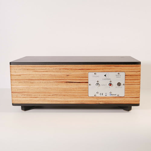 enceinte_bluetooth_studio_livehorn copie | EMPREINTES Paris - EMPREINTES Paris