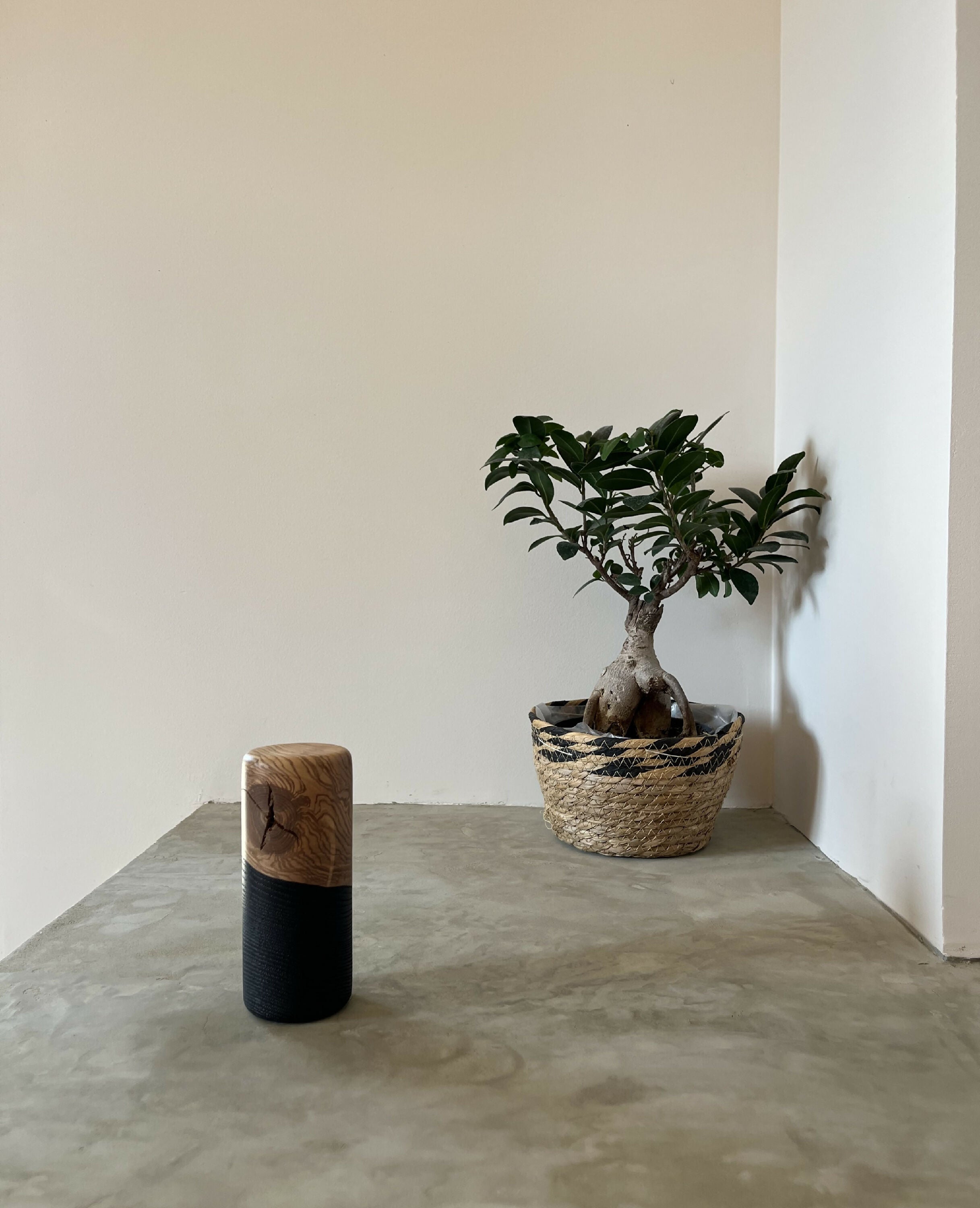 Cylindre à Noeud | EMPREINTES Paris