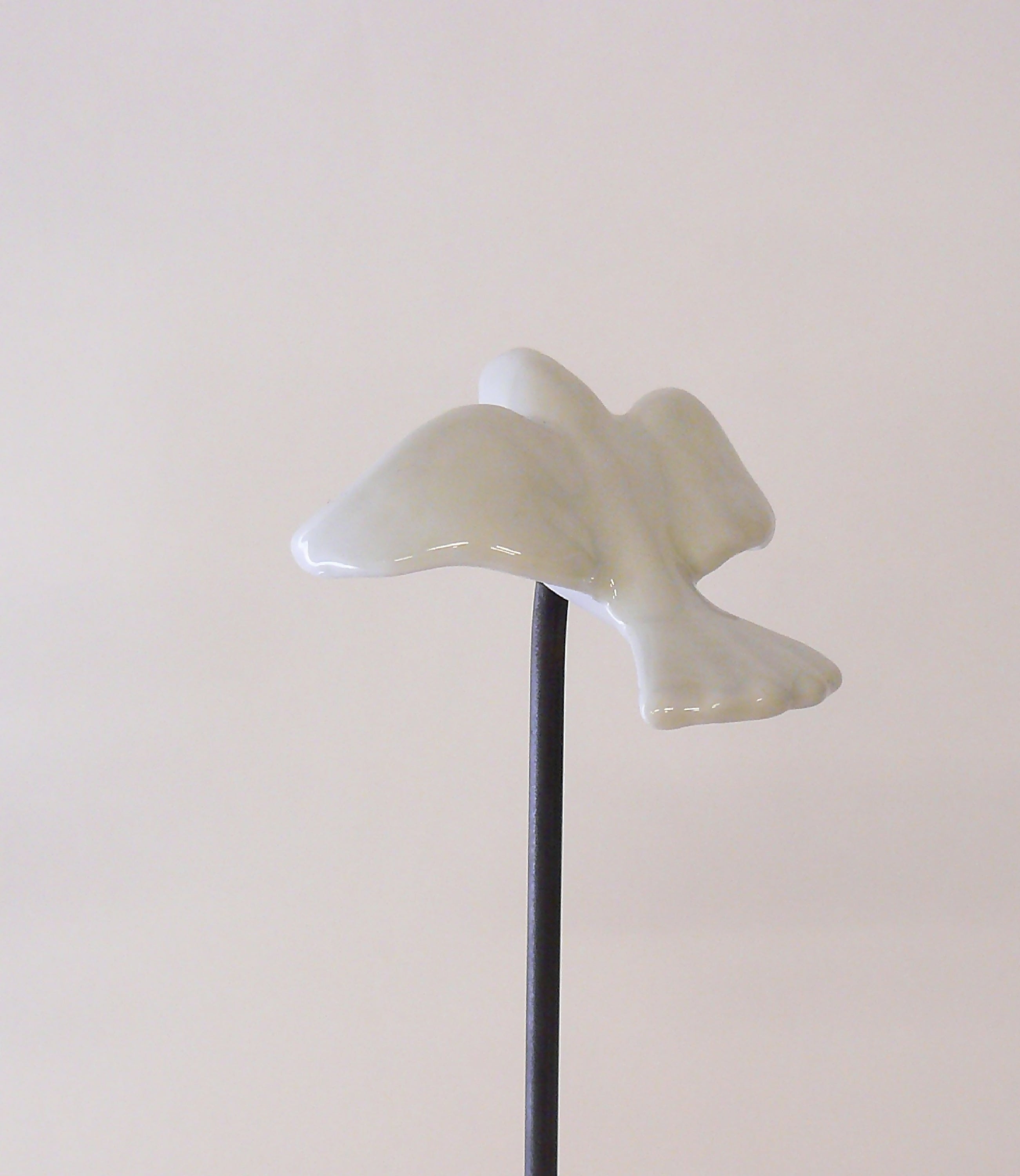 Colombe brillante | EMPREINTES Paris