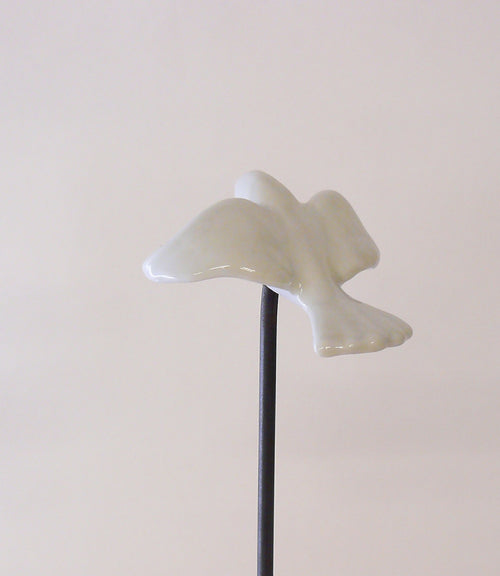 Colombe brillante | EMPREINTES Paris - EMPREINTES Paris