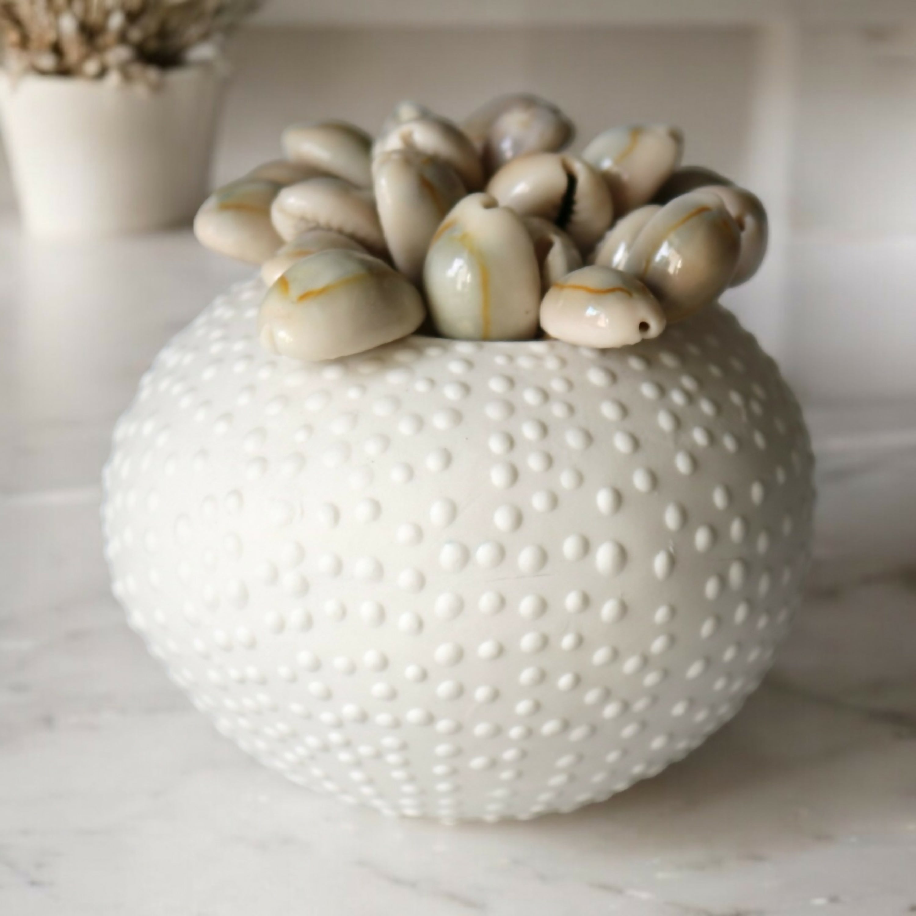 Oursin pique Apéro | EMPREINTES Paris