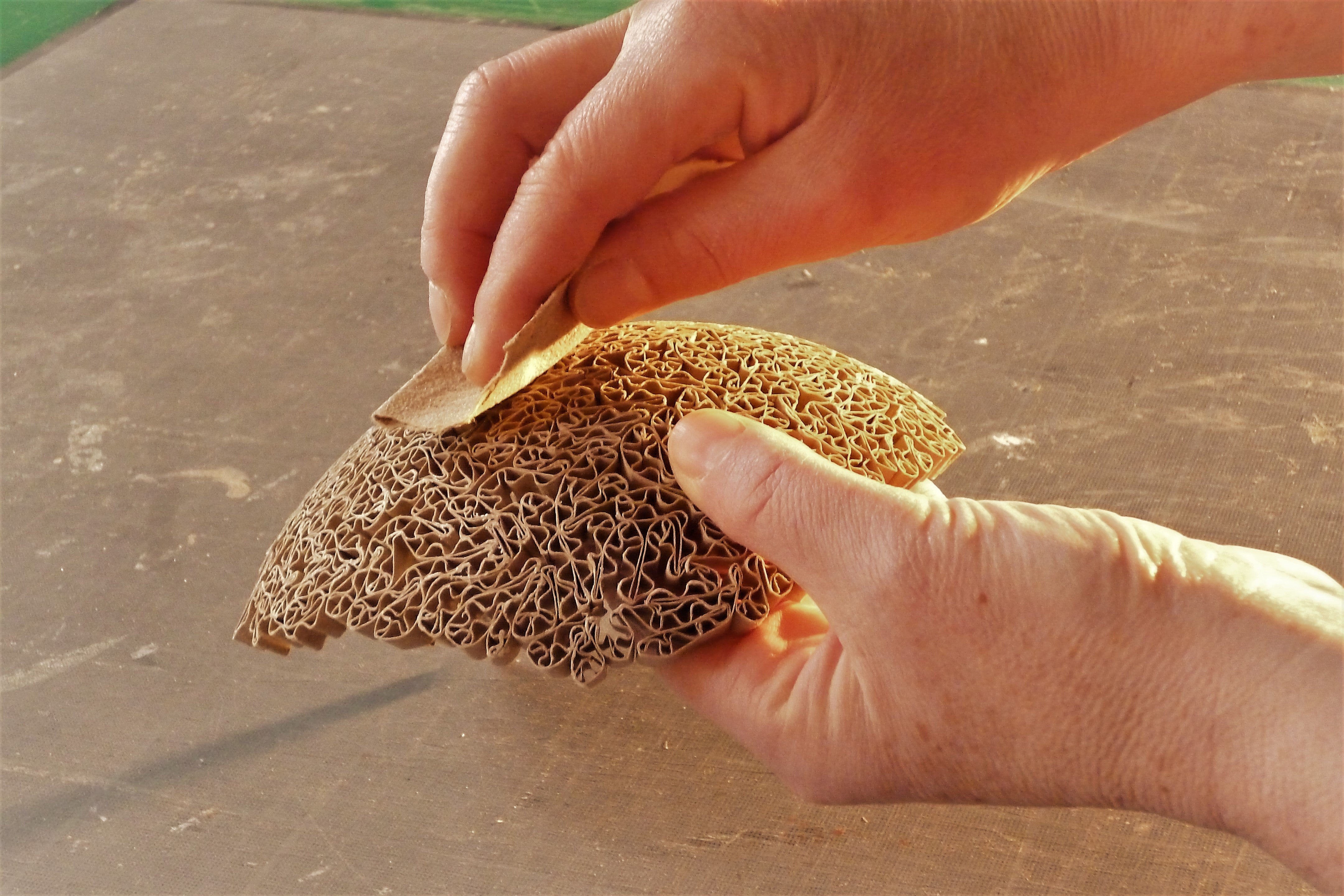 Créations Louis Carton | EMPREINTES Paris