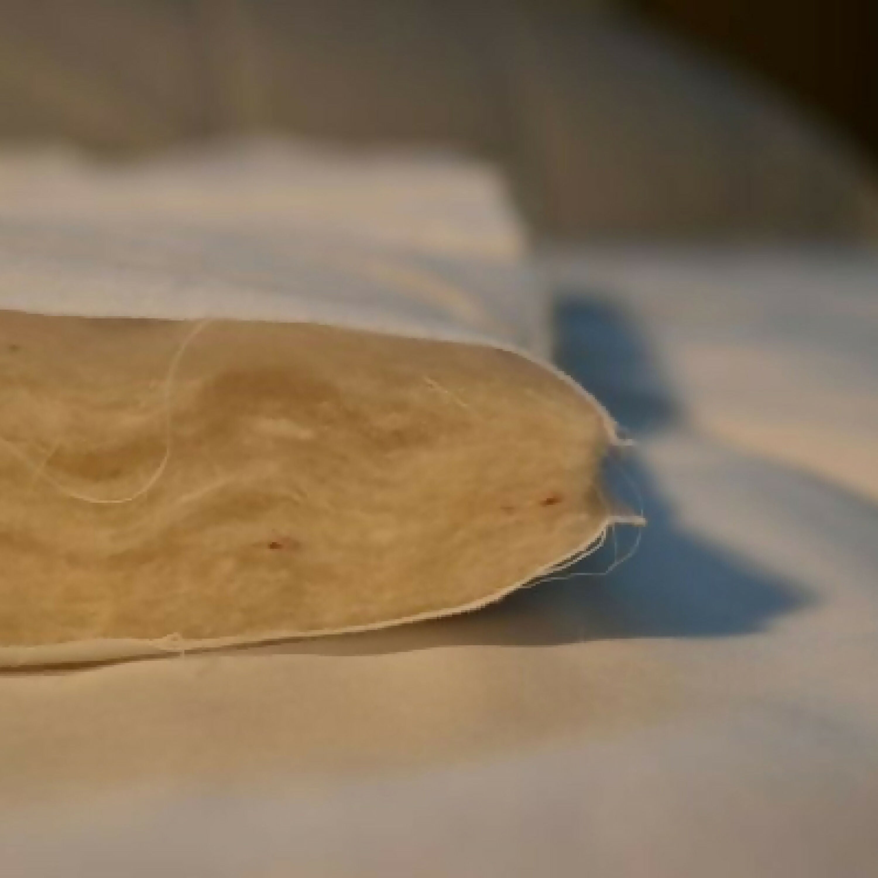 couette_percale_et_garnissage_en_laine_mademoiselle_dennery copie | EMPREINTES Paris