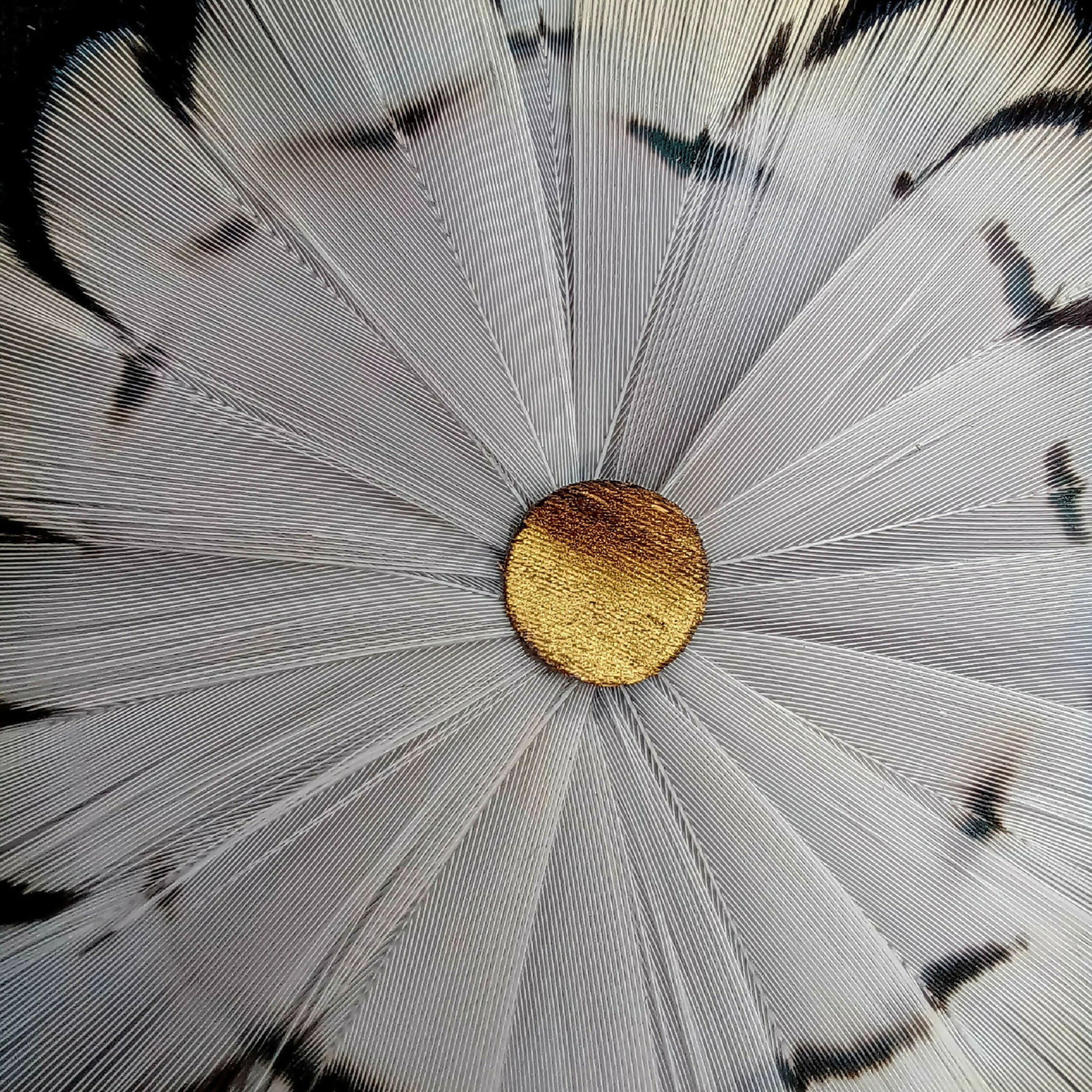 Oeuvre murale Noir et Blanc, Série VOLUTE | EMPREINTES Paris