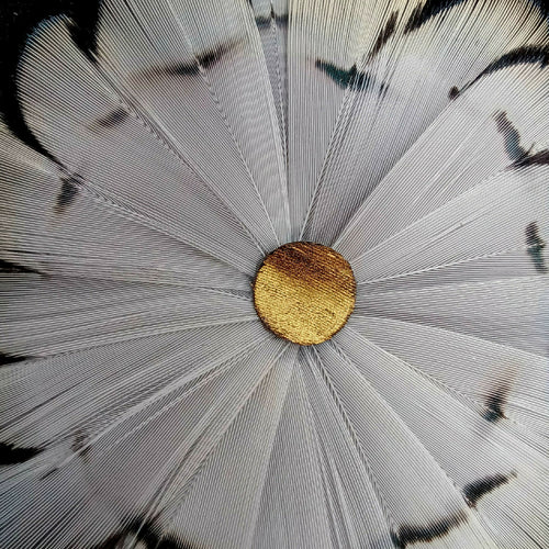 Oeuvre murale Noir et Blanc, Série VOLUTE | EMPREINTES Paris - EMPREINTES Paris