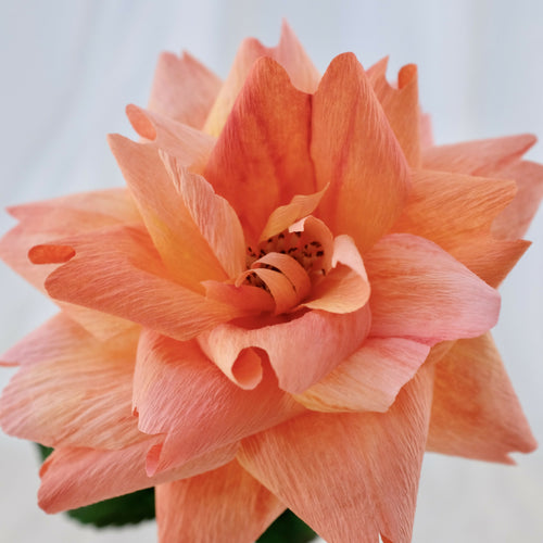 Rose en papier (couleur rose orangé) | EMPREINTES Paris - EMPREINTES Paris