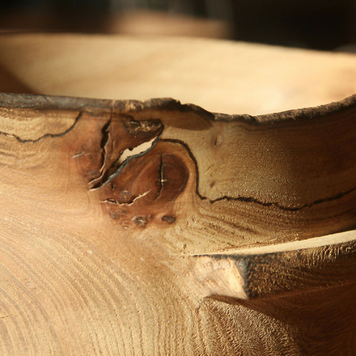 Pot en orme - Collection bois vert | EMPREINTES Paris - EMPREINTES Paris