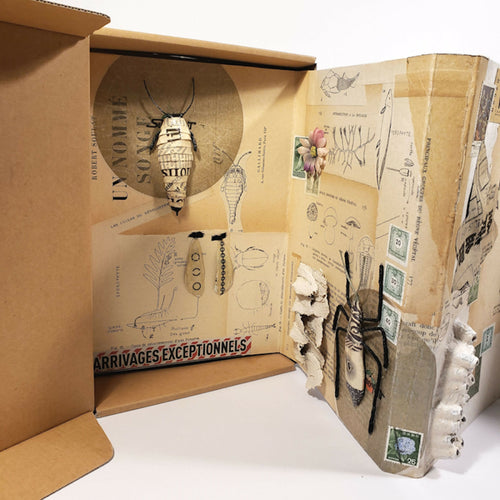 Sculpture papier Petit cabinet de curiosité | EMPREINTES Paris - EMPREINTES Paris