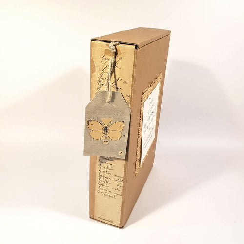 Sculpture papier Petit cabinet de curiosité | EMPREINTES Paris - EMPREINTES Paris