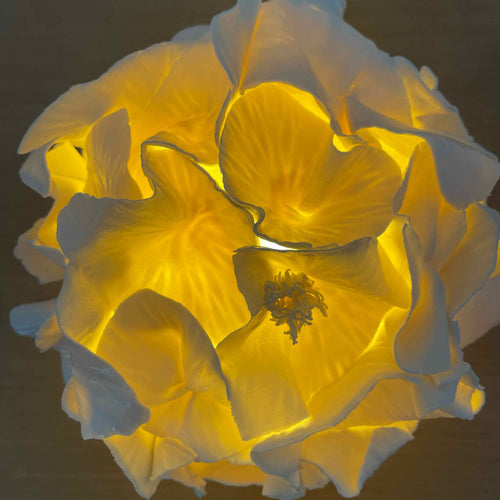 Lampe sculpture Anthéa 2 | EMPREINTES Paris - EMPREINTES Paris