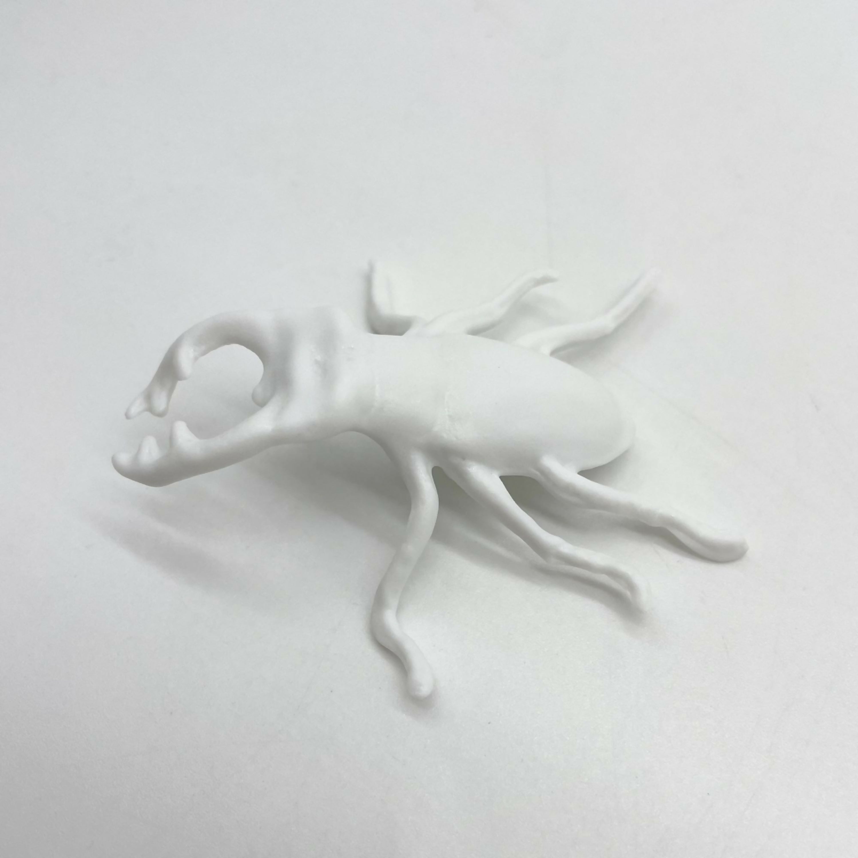 lucane_porcelaine_de_limoges_la_seynie copie | EMPREINTES Paris