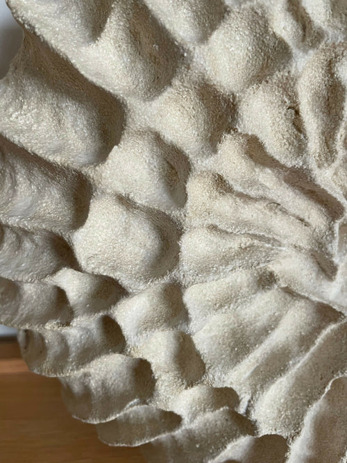 Sculpture Fossilis 2 | EMPREINTES Paris - EMPREINTES Paris