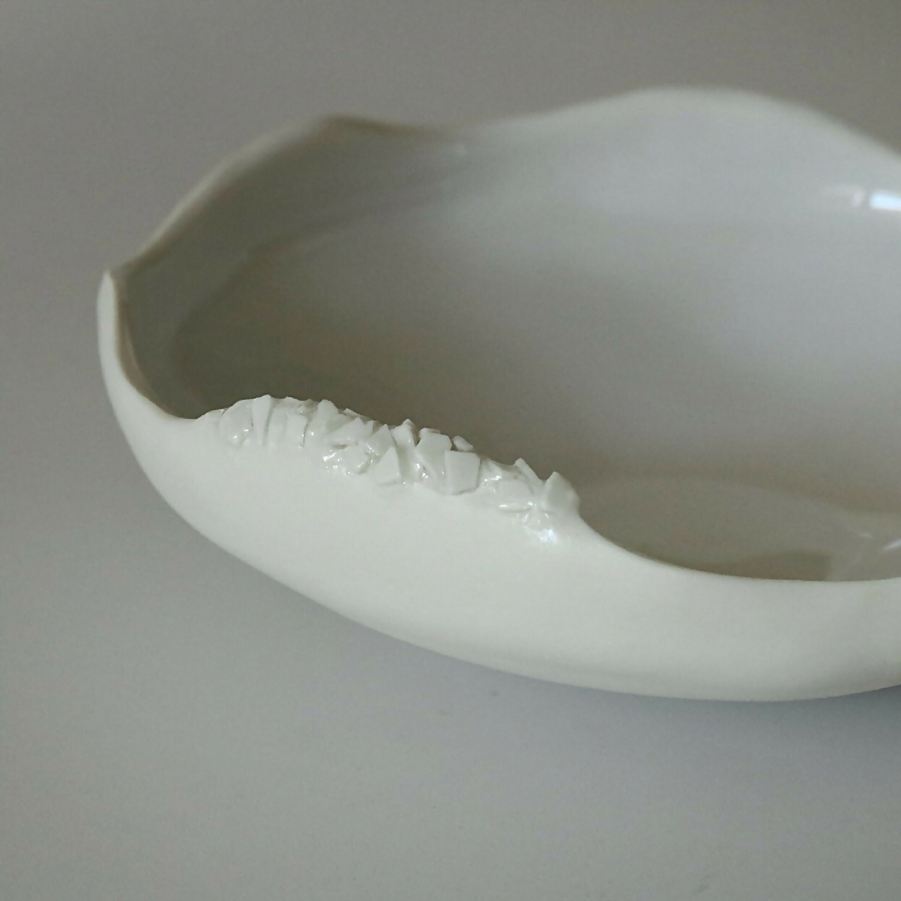 coupe_coquille_cglabsete copie | EMPREINTES Paris