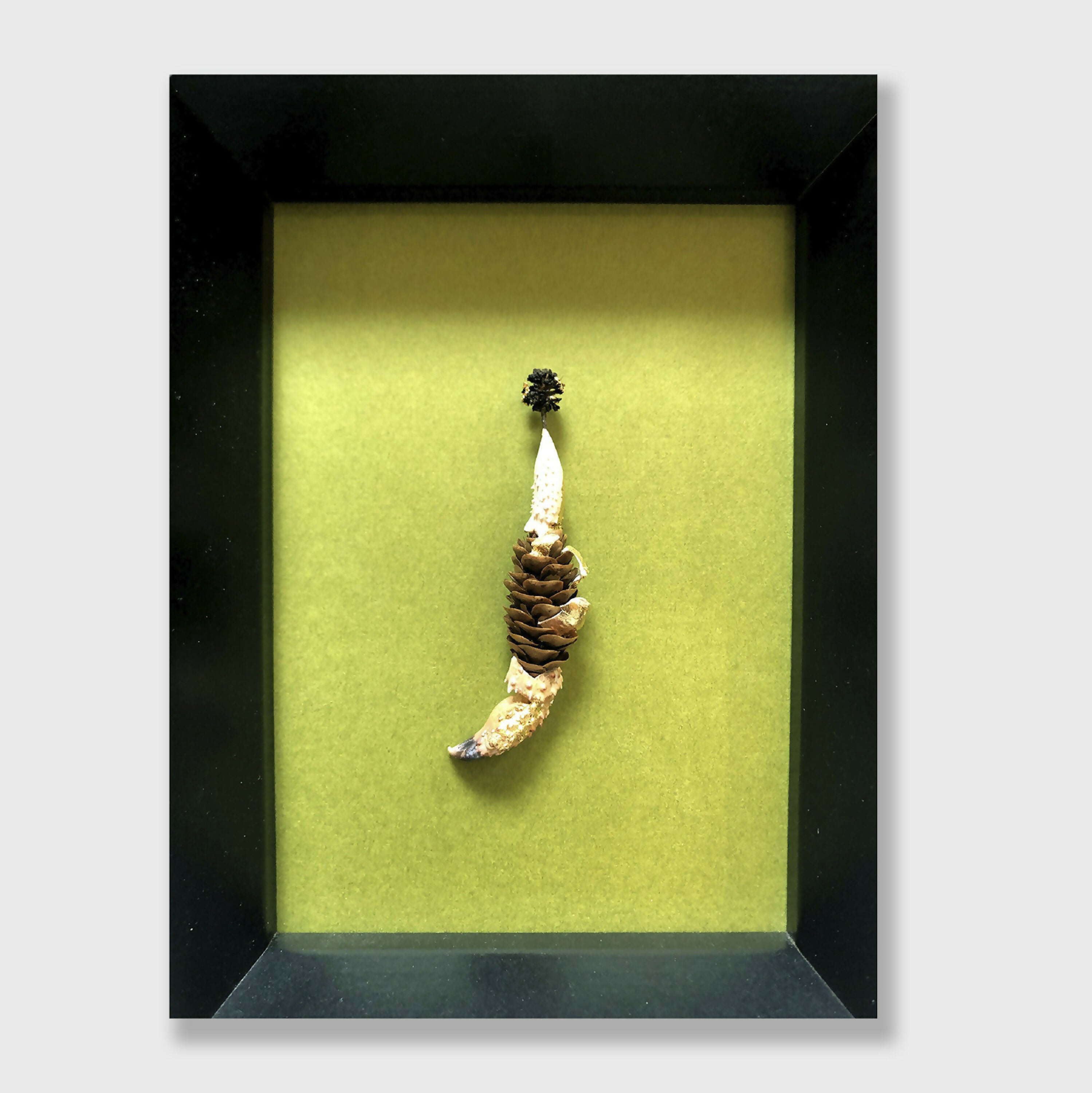 Composition Pomme de pince | EMPREINTES Paris