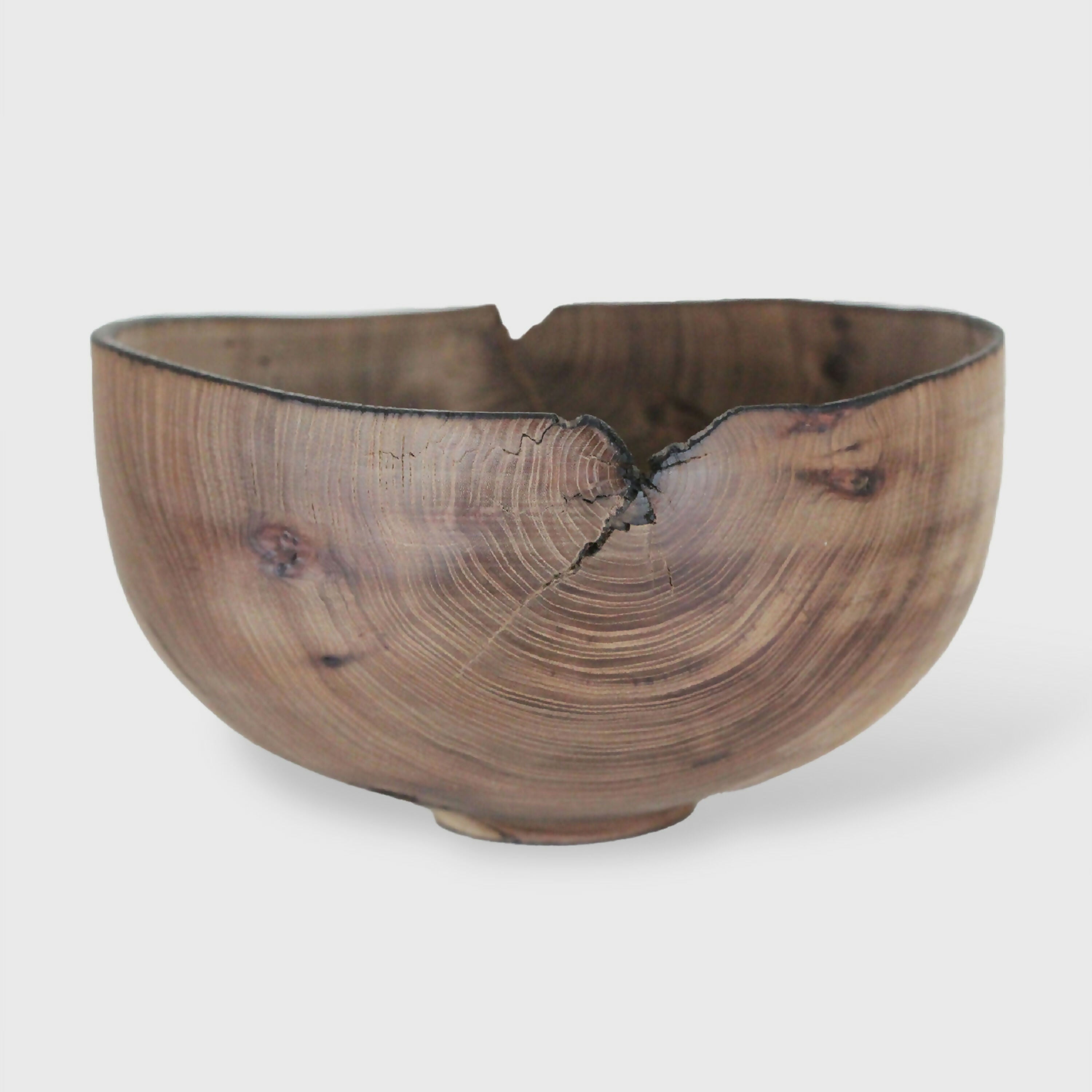 Bol en orme - Collection bois vert | EMPREINTES Paris