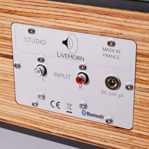 enceinte_bluetooth_studio_livehorn copie | EMPREINTES Paris - EMPREINTES Paris