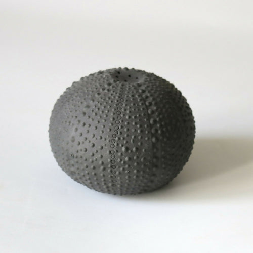 saliere_porcelaine_noire_oursin_cglabsete copie | EMPREINTES Paris - EMPREINTES Paris