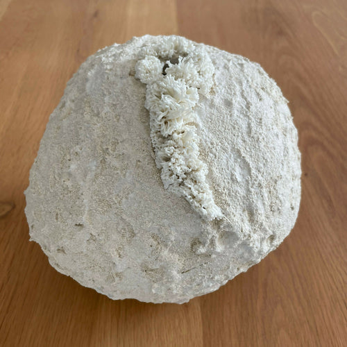 Sculpture Palingensia | EMPREINTES Paris - EMPREINTES Paris