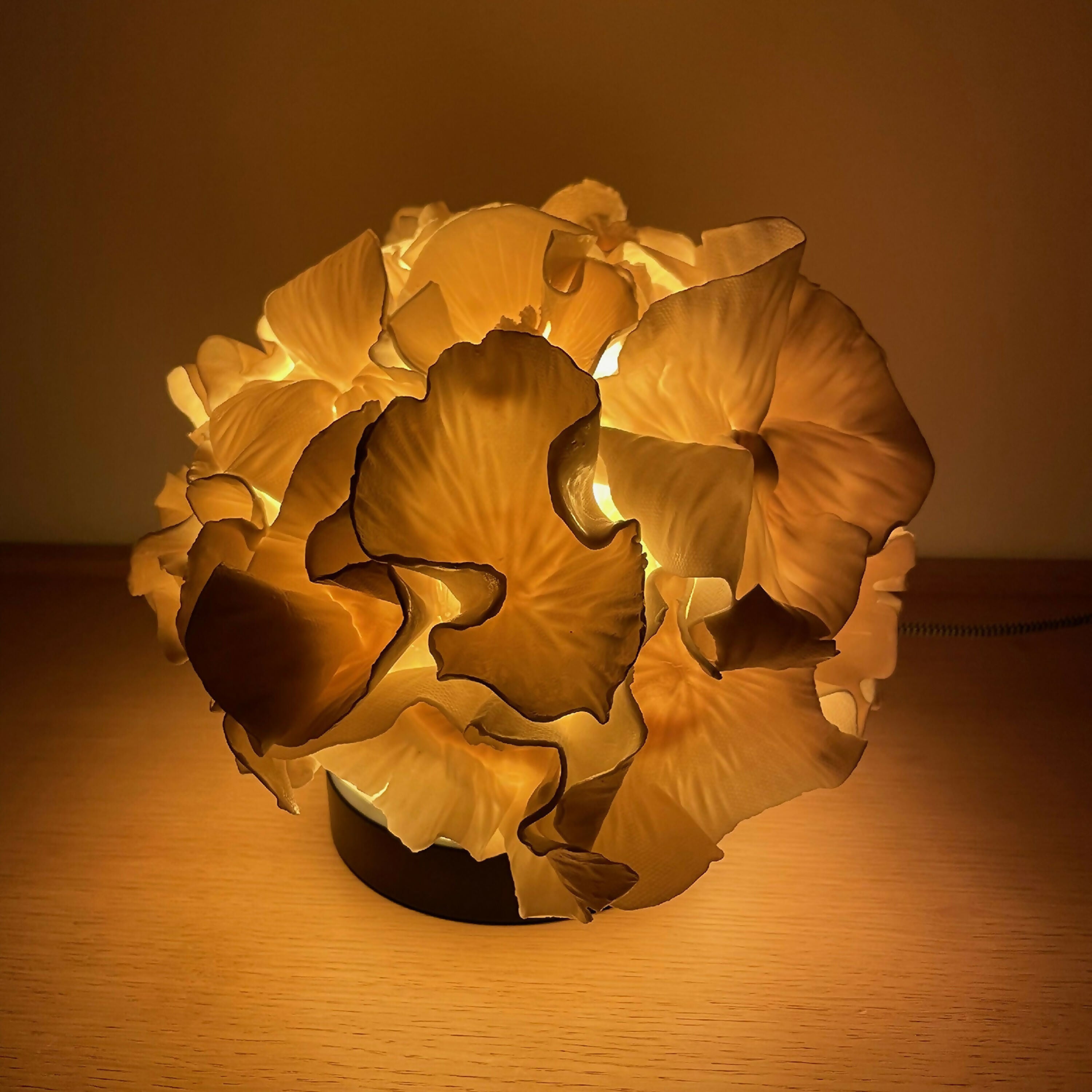 8nJSpWcQqO | EMPREINTES Paris