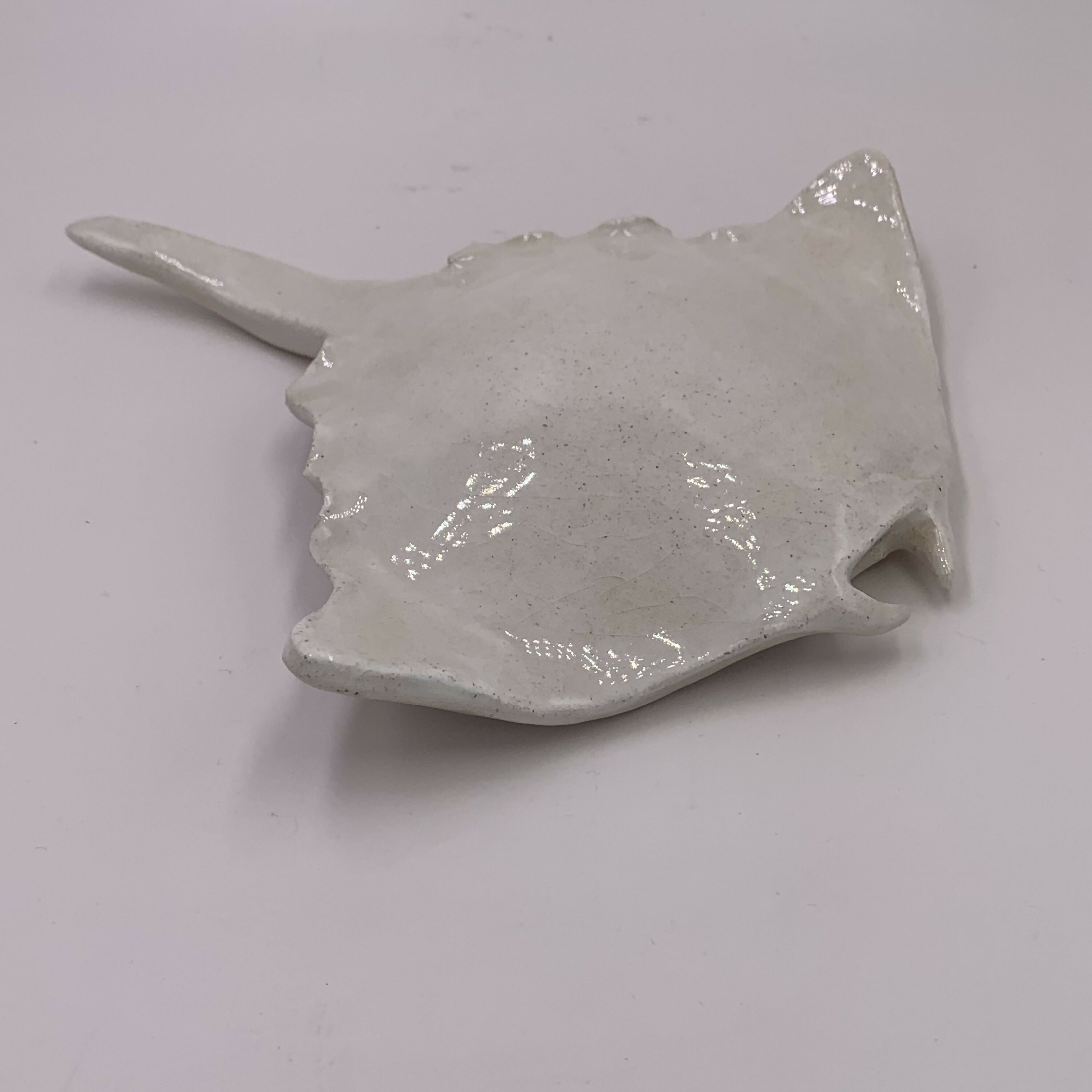 sculpture_moyenne_raie_manta_en_gres_blanc_veronique_prenant copie | EMPREINTES Paris