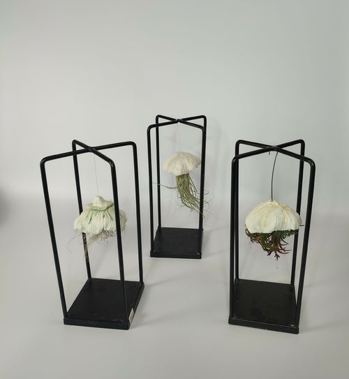 sculpture_meduse_et_tillandsia_onirique_et_poetique_sophie_luline_ceramiste copie | EMPREINTES Paris - EMPREINTES Paris